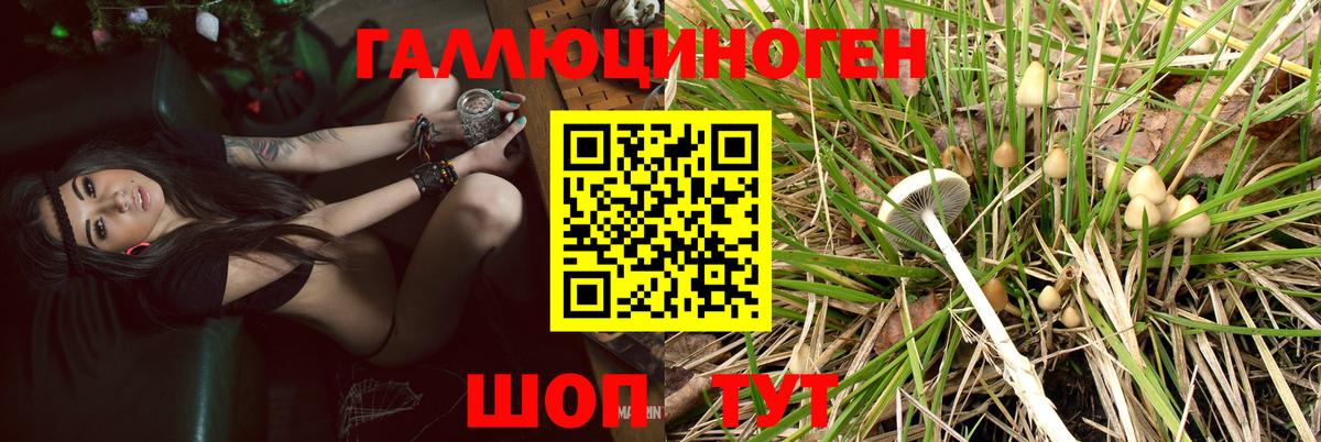 Псилоцибиновые грибы ЛСД  Псилоцибиновые грибы мухоморы  Оренбург  Вход с VPN 